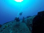 Hawaii Scuba divng 58