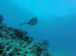 Hawaii Scuba divng 05