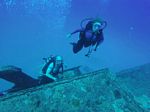 Hawaii Scuba divng 64