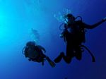 Hawaii Scuba divng 72