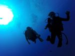 Hawaii Scuba divng 73