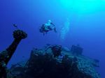 Hawaii Scuba divng 74