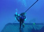 Hawaii Scuba divng 78