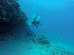 Hawaii Scuba divng 07