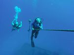 Hawaii Scuba divng 84