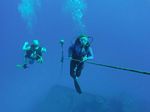 Hawaii Scuba divng 85