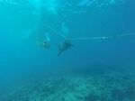 Hawaii Scuba divng 88