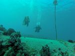 Hawaii Scuba divng 89