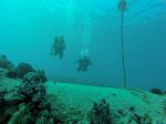 Hawaii Scuba divng 89