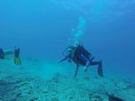 Hawaii Scuba divng 94