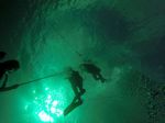 Hawaii Scuba divng 12