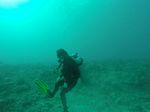 Hawaii Scuba divng 16