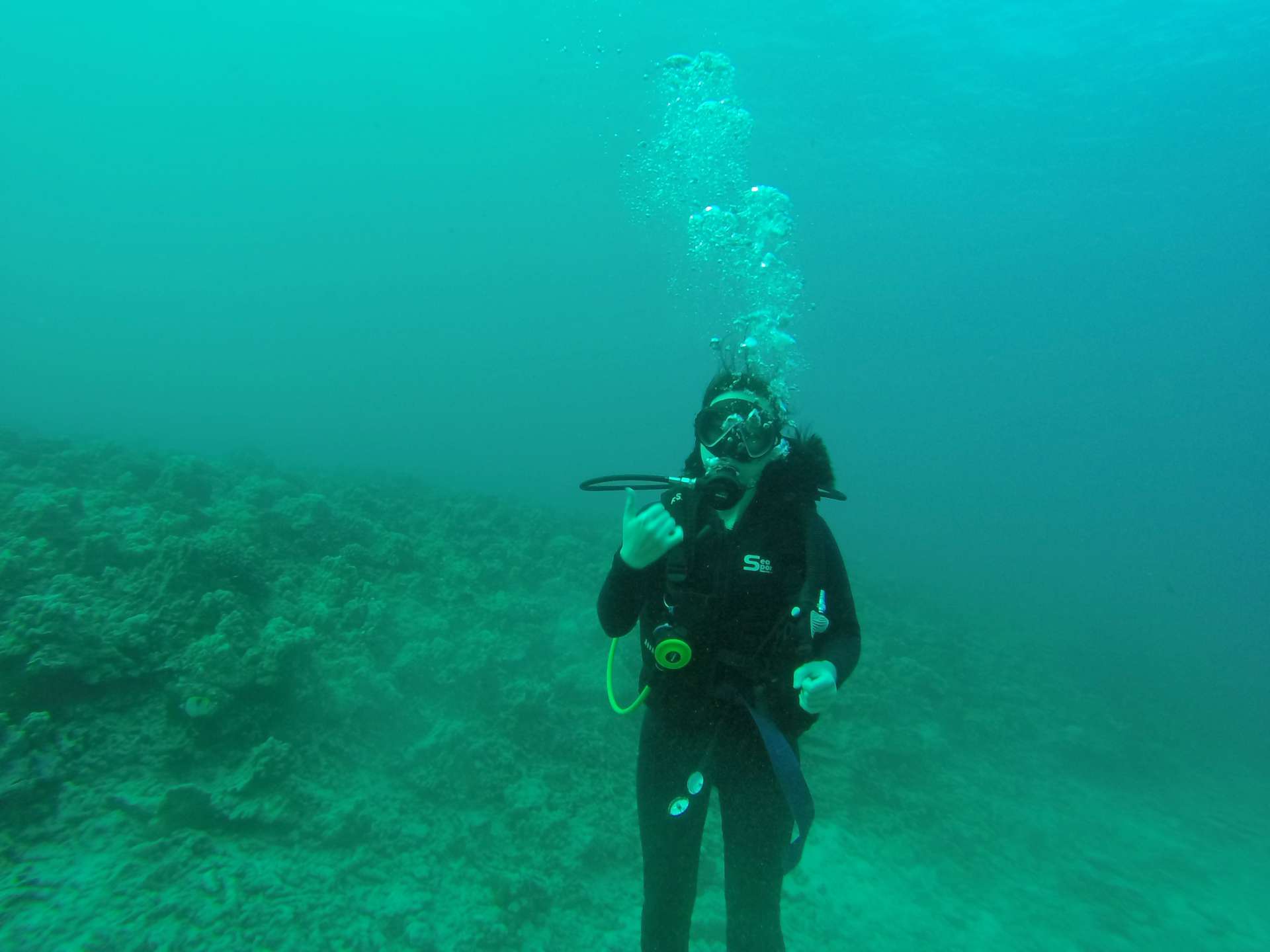 Hawaii Scuba Diving - 01-02-2017-1pm