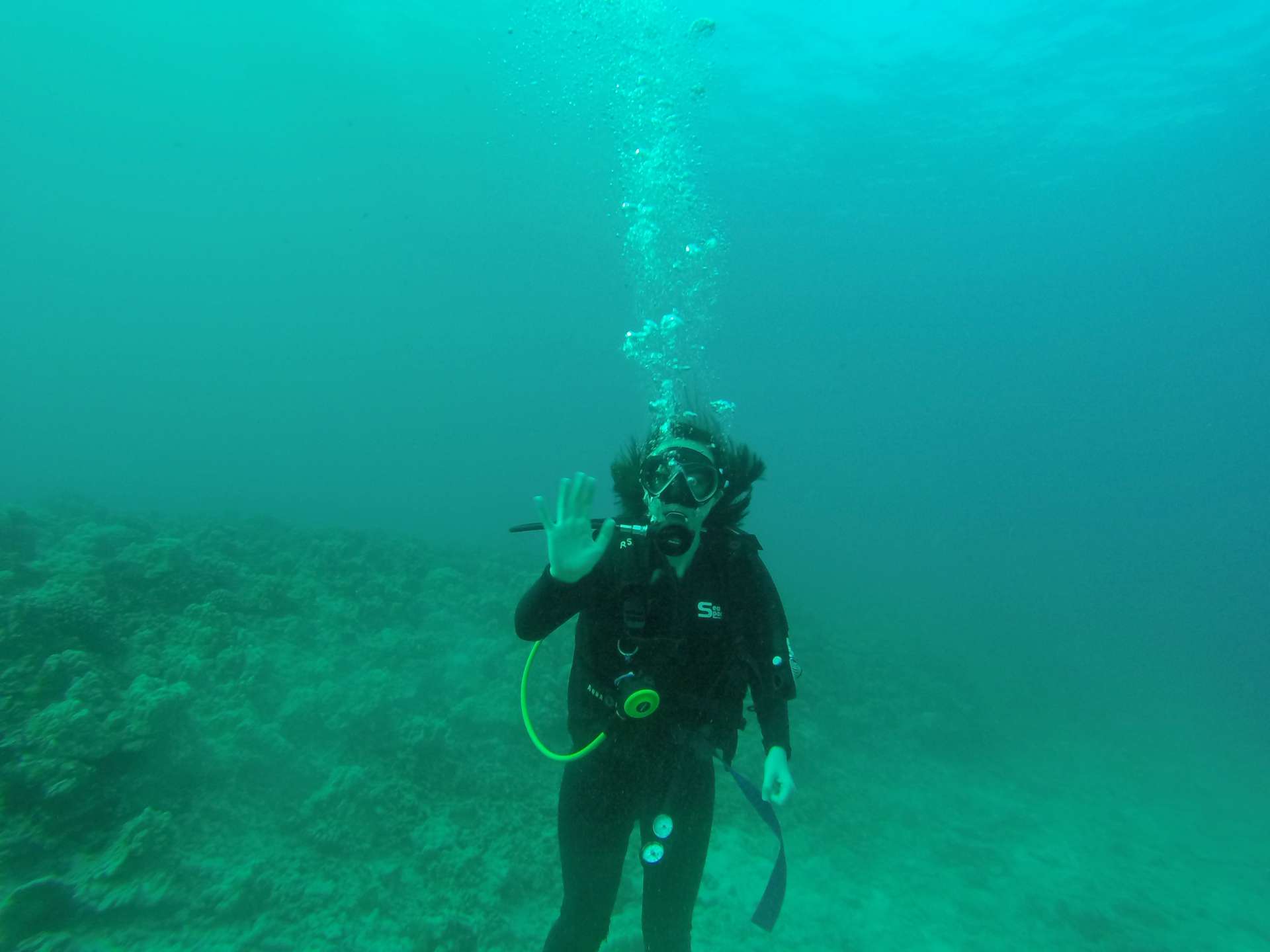 Hawaii Scuba Diving - 01-02-2017-1pm