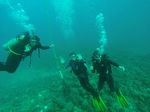 Hawaii Scuba divng 26