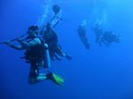 Hawaii Scuba divng 10