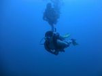 Hawaii Scuba divng 11