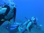 Hawaii Scuba divng 16