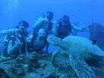 Hawaii Scuba divng 18