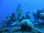 Hawaii Scuba divng 25