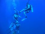 Hawaii Scuba divng 27