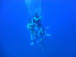 Hawaii Scuba divng 28