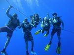 Hawaii Scuba divng 29