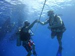 Hawaii Scuba divng 32