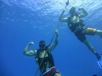 Hawaii Scuba divng 34