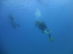 Hawaii Scuba divng 35