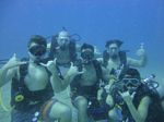 Hawaii Scuba divng 36