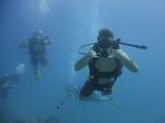 Hawaii Scuba divng 40