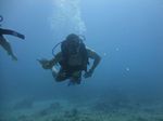 Hawaii Scuba divng 42