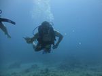 Hawaii Scuba divng 42