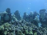 Hawaii Scuba divng 44