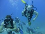 Hawaii Scuba divng 47