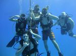 Hawaii Scuba divng 48