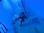 Hawaii Scuba divng 30