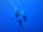 Hawaii Scuba divng 32