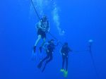 Hawaii Scuba divng 33