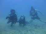 Hawaii Scuba divng 38