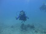 Hawaii Scuba divng 39