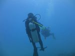 Hawaii Scuba divng 43