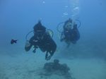 Hawaii Scuba divng 48