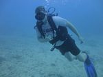 Hawaii Scuba divng 49