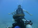 Hawaii Scuba divng 57