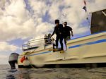 Hawaii Scuba divng 05