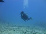 Hawaii Scuba divng 66