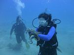 Hawaii Scuba divng 73