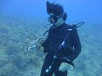 Hawaii Scuba divng 77